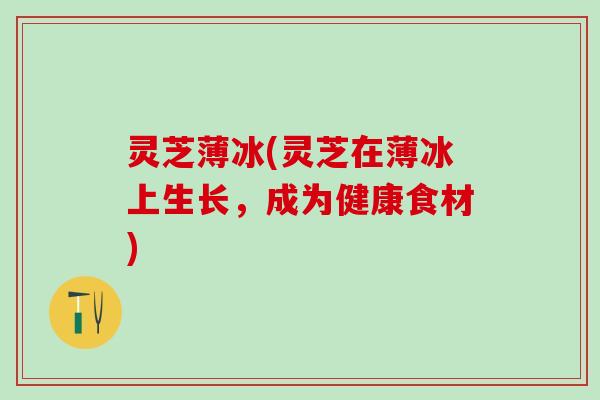 灵芝薄冰(灵芝在薄冰上生长,成为健康食材) 灵芝薄冰(灵芝在薄冰上生长,成为健康食材)