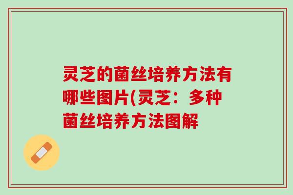 灵芝的菌丝培养方法有哪些图片(灵芝:多种菌丝培养方法图解 灵芝的菌丝培养方法有哪些图片(灵芝:多种菌丝培养方法图解