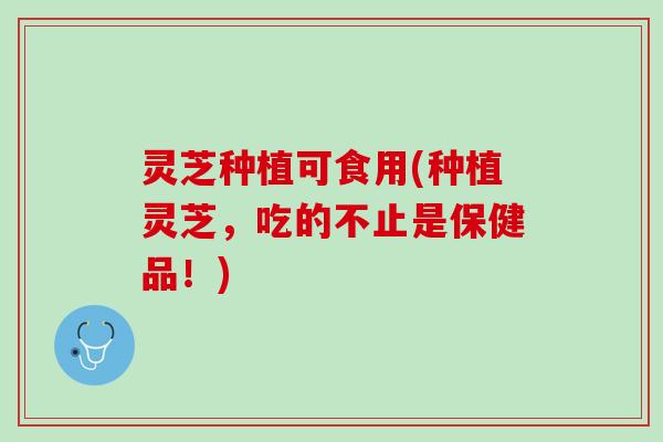 灵芝种植可食用(种植灵芝，吃的不止是保健品！)