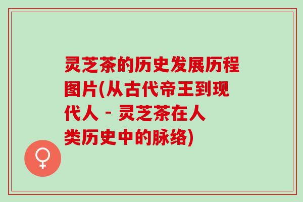 灵芝茶的历史发展历程图片(从古代帝王到现代人 - 灵芝茶在人类历史中的脉络)