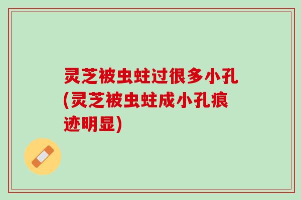 灵芝被虫蛀过很多小孔(灵芝被虫蛀成小孔痕迹明显)