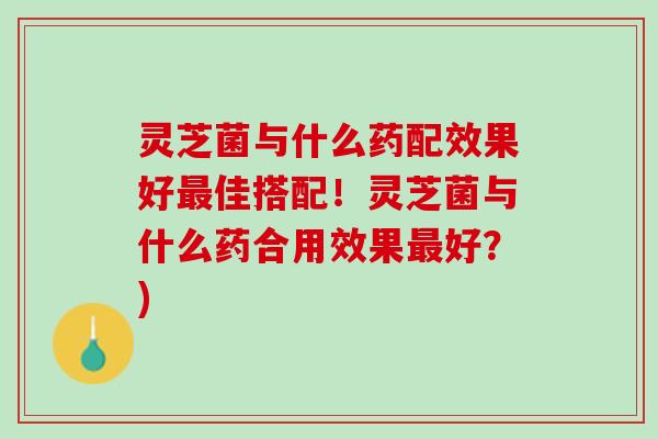 灵芝菌与什么药配效果好最佳搭配！灵芝菌与什么药合用效果最好？)