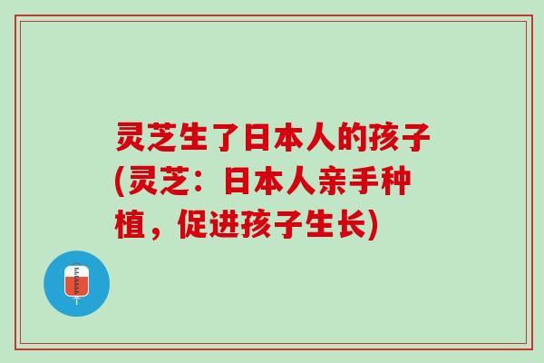 灵芝生了日本人的孩子(灵芝:日本人亲手种植,促进孩子生长) 灵芝生了日本人的孩子(灵芝:日本人亲手种植,促进孩子生长)