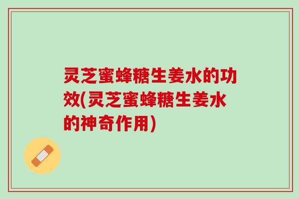 灵芝蜜蜂糖生姜水的功效(灵芝蜜蜂糖生姜水的神奇作用)