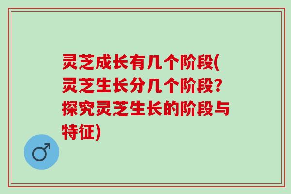 灵芝成长有几个阶段(灵芝生长分几个阶段？探究灵芝生长的阶段与特征)