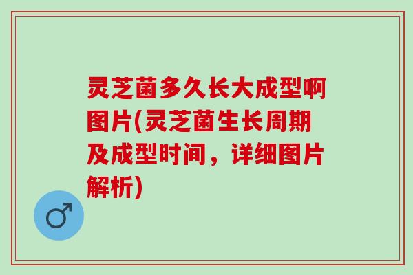 灵芝菌多久长大成型啊图片(灵芝菌生长周期及成型时间，详细图片解析)