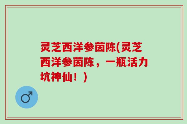 灵芝西洋参茵陈(灵芝西洋参茵陈，一瓶活力坑神仙！)