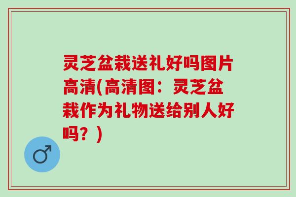 灵芝盆栽送礼好吗图片高清(高清图：灵芝盆栽作为礼物送给别人好吗？)