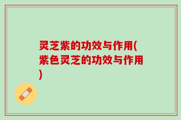 灵芝紫的功效与作用(紫色灵芝的功效与作用) 灵芝紫的功效与作用(紫色灵芝的功效与作用)
