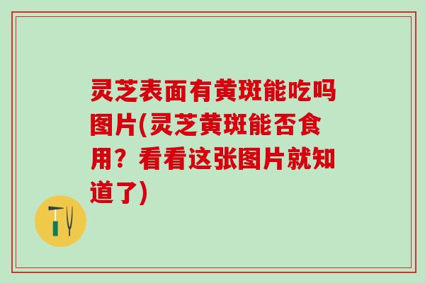 灵芝表面有黄斑能吃吗图片(灵芝黄斑能否食用?看看这张图片就知道了) 灵芝表面有黄斑能吃吗图片(灵芝黄斑能否食用?看看这张图片就知道了)