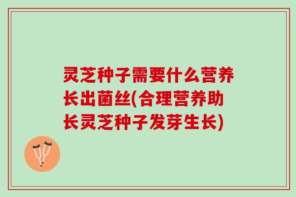 灵芝种子需要什么营养长出菌丝(合理营养助长灵芝种子发芽生长)