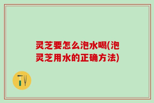 灵芝要怎么泡水喝(泡灵芝用水的正确方法)