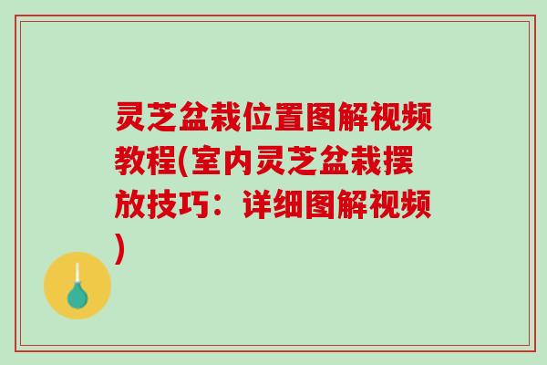 灵芝盆栽位置图解视频教程(室内灵芝盆栽摆放技巧:详细图解视频) 灵芝盆栽位置图解视频教程(室内灵芝盆栽摆放技巧:详细图解视频)