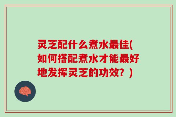 灵芝配什么煮水最佳(如何搭配煮水才能最好地发挥灵芝的功效？)