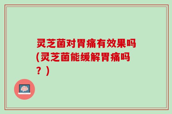 灵芝菌对胃痛有效果吗(灵芝菌能缓解胃痛吗？)