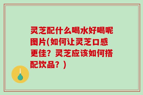 灵芝配什么喝水好喝呢图片(如何让灵芝口感更佳？灵芝应该如何搭配饮品？)