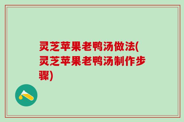 灵芝苹果老鸭汤做法(灵芝苹果老鸭汤制作步骤)