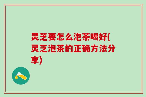 灵芝要怎么泡茶喝好(灵芝泡茶的正确方法分享)