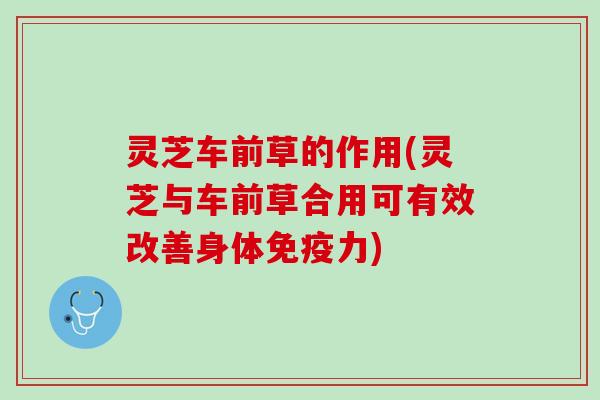灵芝车前草的作用(灵芝与车前草合用可有效改善身体免疫力)
