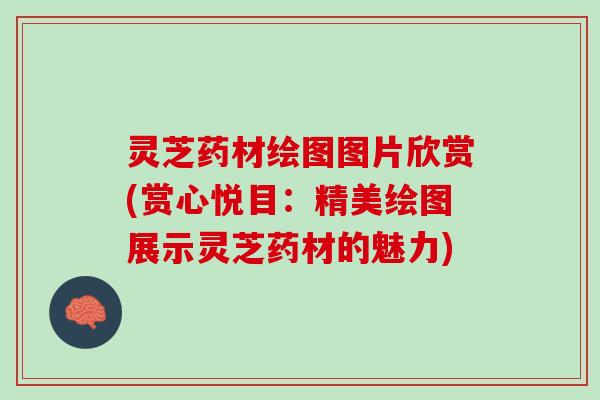 灵芝药材绘图图片欣赏(赏心悦目：精美绘图展示灵芝药材的魅力)