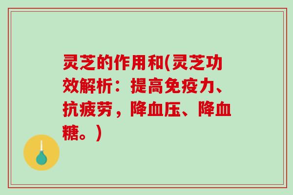 灵芝的作用和(灵芝功效解析:提高免疫力、,降、降。) 灵芝的作用和(灵芝功效解析:提高免疫力、,降、降。)