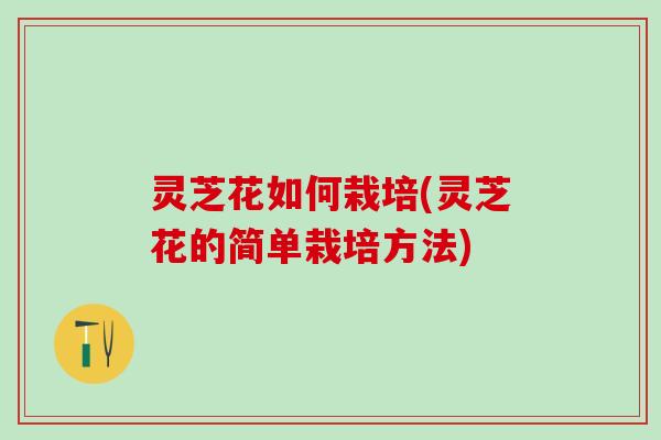 灵芝花如何栽培(灵芝花的简单栽培方法)