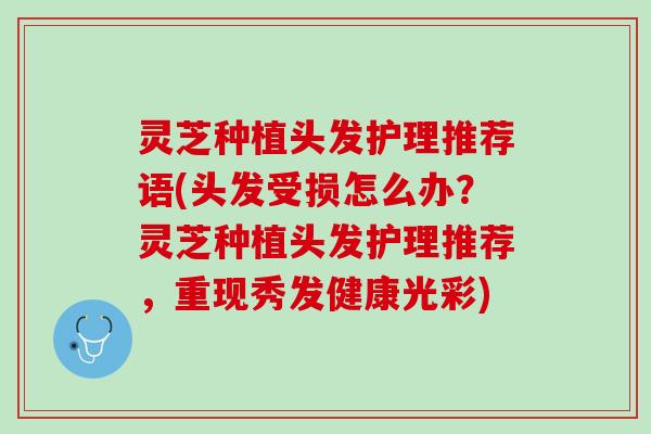 灵芝种植头发护理推荐语(头发受损怎么办?灵芝种植头发护理推荐,重现秀发健康光彩) 灵芝种植头发护理推荐语(头发受损怎么办?灵芝种植头发护理推荐,重现秀发健康光彩)