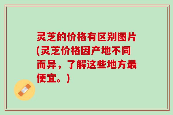 灵芝的价格有区别图片(灵芝价格因产地不同而异，了解这些地方最便宜。)