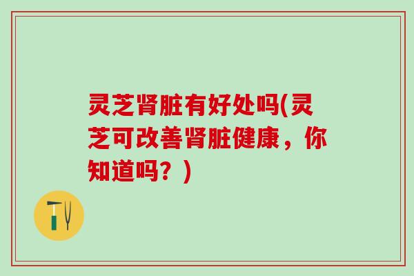 灵芝肾脏有好处吗(灵芝可改善肾脏健康，你知道吗？)
