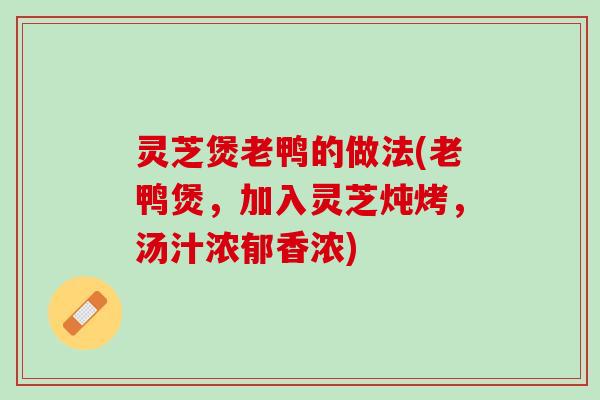 灵芝煲老鸭的做法(老鸭煲，加入灵芝炖烤，汤汁浓郁香浓)
