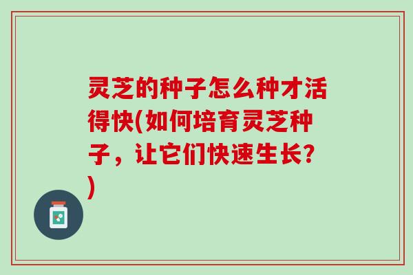 灵芝的种子怎么种才活得快(如何培育灵芝种子，让它们快速生长？)