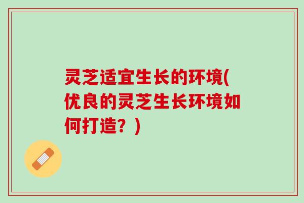 灵芝适宜生长的环境(优良的灵芝生长环境如何打造？)