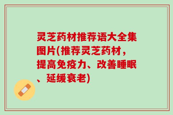 灵芝药材推荐语大全集图片(推荐灵芝药材，提高免疫力、改善睡眠、延缓衰老)