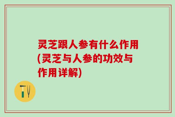 灵芝跟人参有什么作用(灵芝与人参的功效与作用详解)