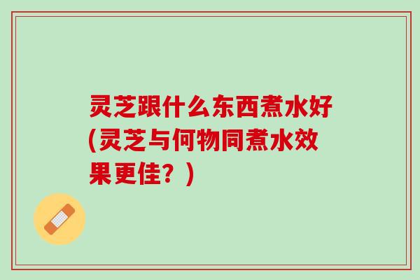 灵芝跟什么东西煮水好(灵芝与何物同煮水效果更佳？)