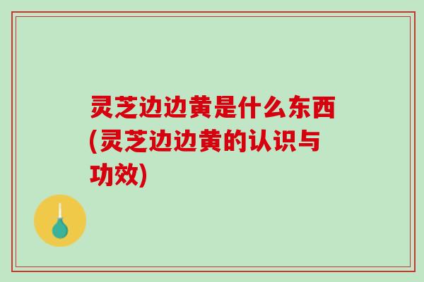 灵芝边边黄是什么东西(灵芝边边黄的认识与功效) 灵芝边边黄是什么东西(灵芝边边黄的认识与功效)