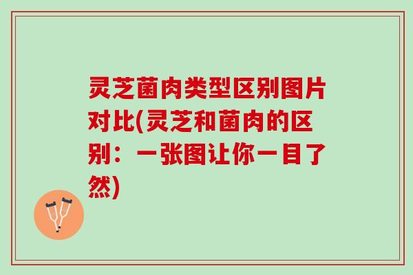 灵芝菌肉类型区别图片对比(灵芝和菌肉的区别：一张图让你一目了然)