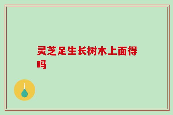灵芝足生长树木上面得吗