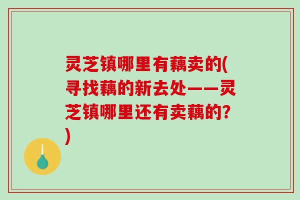 灵芝镇哪里有藕卖的(寻找藕的新去处——灵芝镇哪里还有卖藕的？)