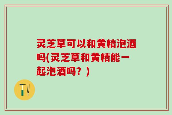 灵芝草可以和黄精泡酒吗(灵芝草和黄精能一起泡酒吗?) 灵芝草可以和黄精泡酒吗(灵芝草和黄精能一起泡酒吗?)