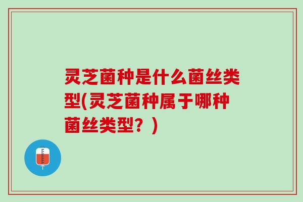 灵芝菌种是什么菌丝类型(灵芝菌种属于哪种菌丝类型？)