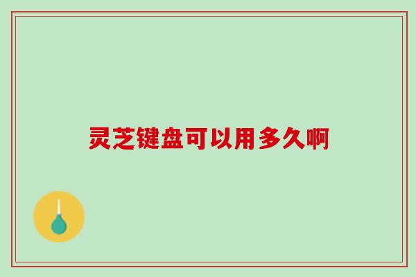 灵芝键盘可以用多久啊