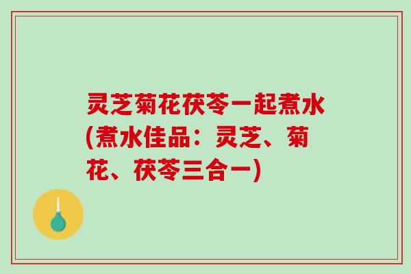 灵芝菊花茯苓一起煮水(煮水佳品：灵芝、菊花、茯苓三合一)