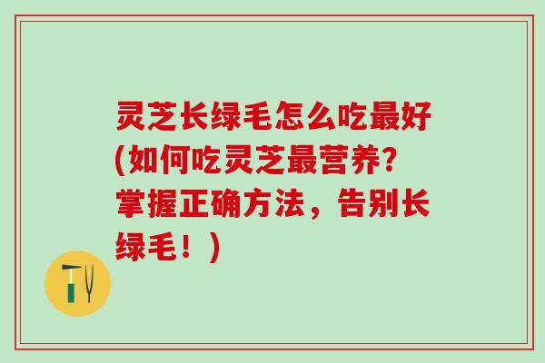 灵芝长绿毛怎么吃最好(如何吃灵芝最营养？掌握正确方法，告别长绿毛！)
