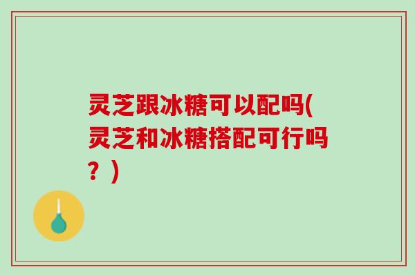 灵芝跟冰糖可以配吗(灵芝和冰糖搭配可行吗？)