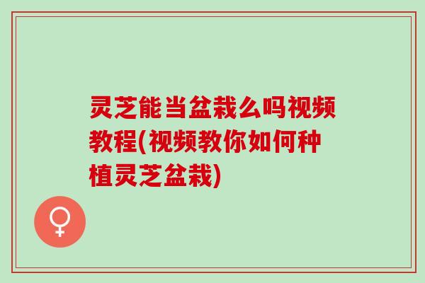 灵芝能当盆栽么吗视频教程(视频教你如何种植灵芝盆栽)