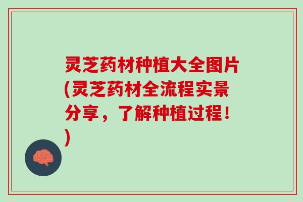灵芝药材种植大全图片(灵芝药材全流程实景分享，了解种植过程！)