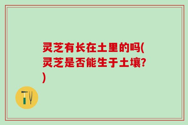 灵芝有长在土里的吗(灵芝是否能生于土壤？)