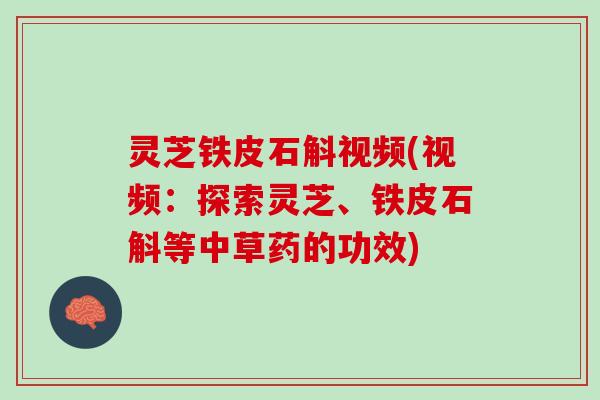 灵芝铁皮石斛视频(视频:探索灵芝、铁皮石斛等中草药的功效) 灵芝铁皮石斛视频(视频:探索灵芝、铁皮石斛等中草药的功效)