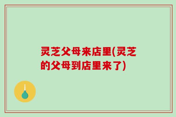 灵芝父母来店里(灵芝的父母到店里来了)